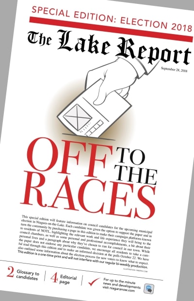 lake report election issue cover