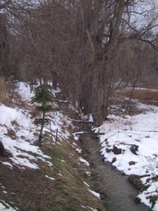 One Mile Creek in March 2004