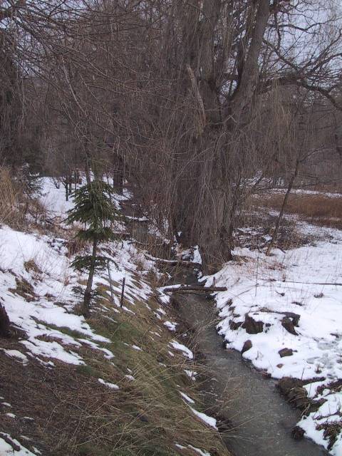 One Mile Creek along Centre Street between Gate and Victoria in March 2004.